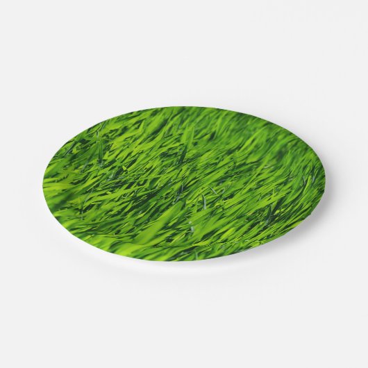 Große Grasblätter Pappteller (Schrägansicht)