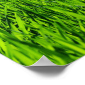 Große Grasblätter Poster (Ecke)
