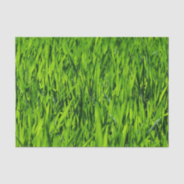 Große Grasblätter Seidenpapier