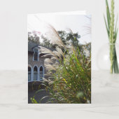 Große Gräser haben Windows - Martha's Vineyard Karte (Vorderseite)