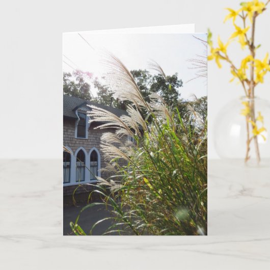 Große Gräser haben Windows - Martha's Vineyard Karte (Gelbe Blume)