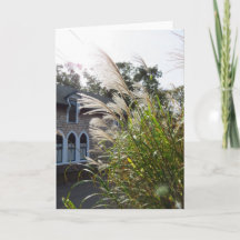 Große Gräser haben Windows - Martha's Vineyard