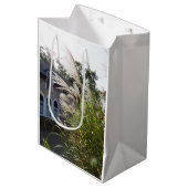 Große Gräser haben Windows - Martha's Vineyard Mittlere Geschenktüte (Vorderseite Schrägansicht)