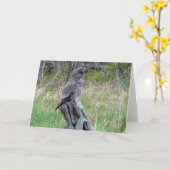 Große graue Eule im Wilden Karte (Gelbe Blume)