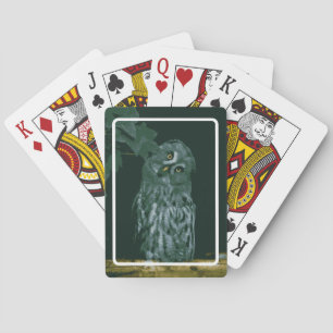 Große Graue Eule Spielkarten