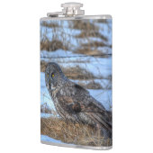 Große graue Eule und Schnee Wildlife Raptor Foto Flachmann (Links)