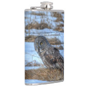 Große graue Eule und Schnee Wildlife Raptor Foto Flachmann (Rechts)