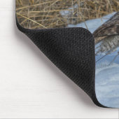 Große graue Eule und Schnee Wildlife Raptor Foto Mousepad (Ecke)