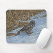 Große graue Eule und Schnee Wildlife Raptor Foto Mousepad (Mit Mouse)