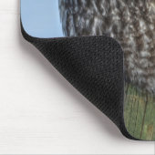 Große graue Eule und Schnee Wildlife Raptor Foto Mousepad (Ecke)