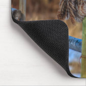 Große graue Eule zum Foto "Fence Wildlife Raptor" Mousepad (Ecke)