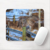 Große graue Eule zum Foto "Fence Wildlife Raptor" Mousepad (Mit Mouse)