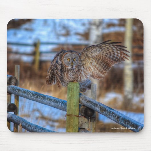 Große graue Eule zum Foto "Fence Wildlife Raptor" Mousepad (Vorne)
