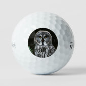 Große graue Owl tmtp5 Gbcnm Golfball (Vorderseite)
