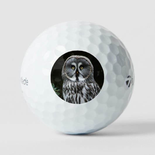 Große graue Owl tmtp5 Gbcnm Golfball (Vorderseite)