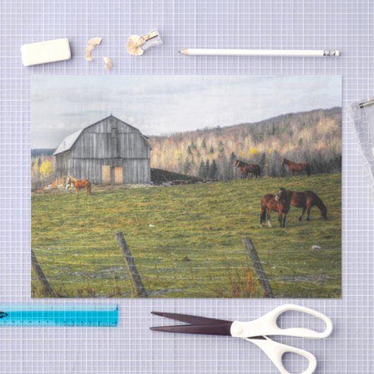 Große graue Pferdestall Seidenpapier (Handwerk)