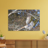 Große graue Schale fliegen Leinwanddruck (Insitu (Wohnzimmer))