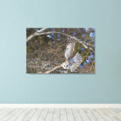 Große graue Schale fliegen Leinwanddruck (Insitu (Holzboden))