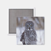 Große graue Schüssel in der Nähe der Pine City MN, Magnet (Vorderseite/Rückseite)