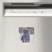 Große graue Schüssel in der Nähe der Pine City MN, Magnet (In Situ (Geschirrspüler))