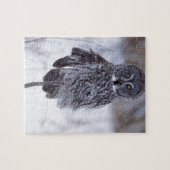 Große graue Schüssel in der Nähe der Pine City MN, Puzzle (Horizontal)