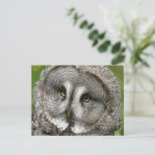 Große graue Schüssel Postkarte (Stehend Vorderseite)