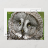 Große graue Schüssel Postkarte (Vorne/Hinten)