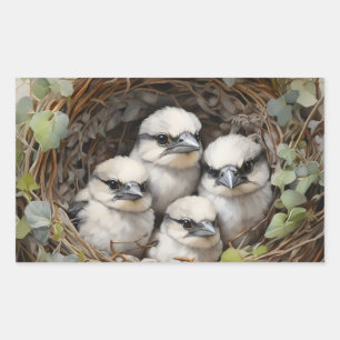 Große, graue Shrike-Babys im Nest. Rechteckiger Aufkleber