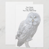 Große Grauschale Briefpapier (Vorne/Hinten)