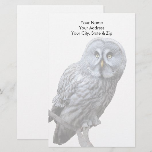 Große Grauschale Briefpapier (Vorne/Hinten)