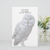 Große Grauschale Briefpapier (Stehend Vorderseite)