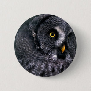 Große Grauschale Button