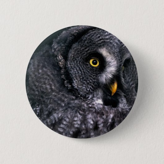 Große Grauschale Button (Vorderseite)