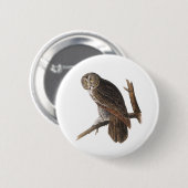 Große Grauschale Button (Vorne & Hinten)