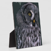 Große Grauschale Fotoplatte (Seite)