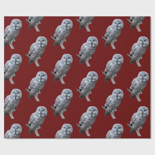 Große Grauschale Geschenkpapier (Flach)