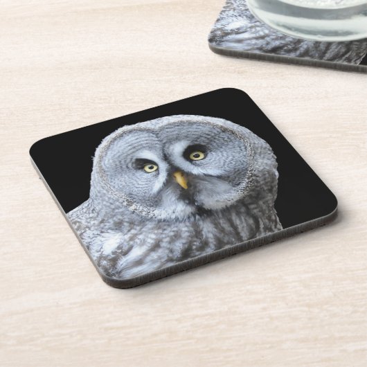 Große Grauschale Getränkeuntersetzer (Linke Seite)