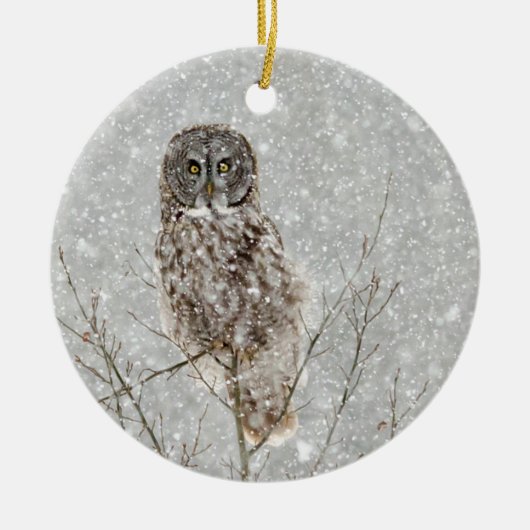 Große Grauschale im Winter Keramik Ornament (Vorne)