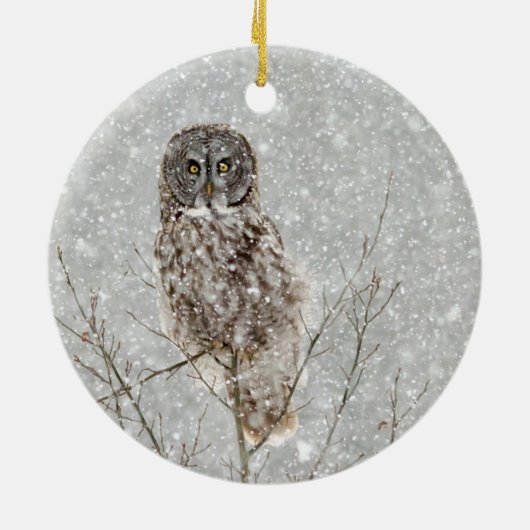 Große Grauschale im Winter Keramik Ornament (Hinten)