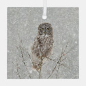 Große Grauschale im Winter Ornament Aus Glas (Rückseite)