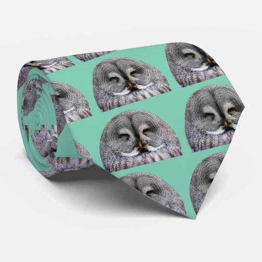 Große Grauschale Krawatte (Gerollt)