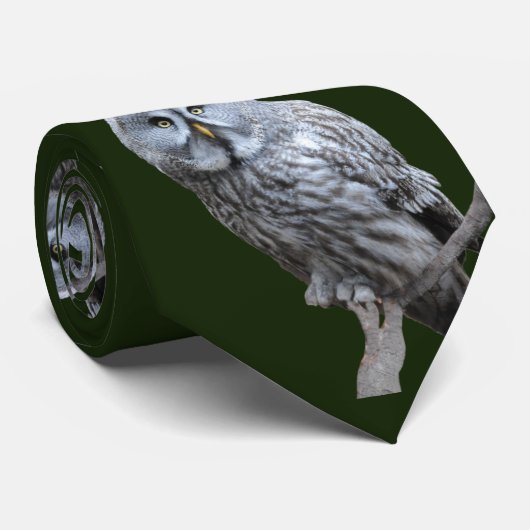 Große Grauschale Krawatte (Gerollt)