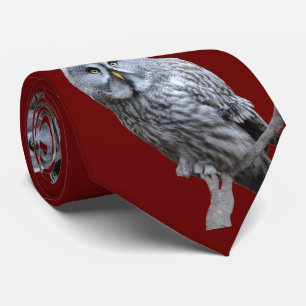 Große Grauschale Krawatte