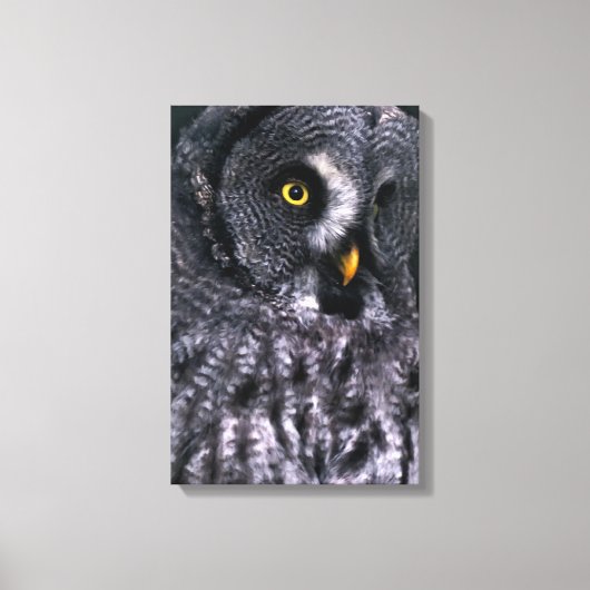 Große Grauschale Leinwanddruck (Vorderseite)