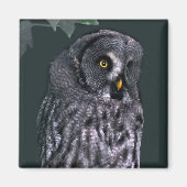 Große Grauschale Magnet (Vorne)