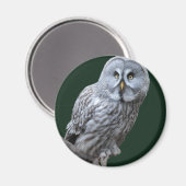 Große Grauschale Magnet (Vorderseite/Rückseite)