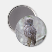 Große Grauschale Magnet (Vorderseite/Rückseite)