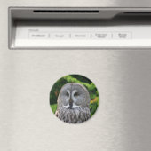 Große Grauschale Magnet (In Situ (Geschirrspüler))