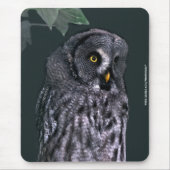 Große Grauschale Mousepad (Vorne)