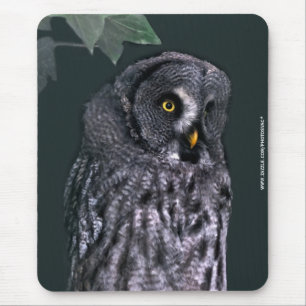 Große Grauschale Mousepad